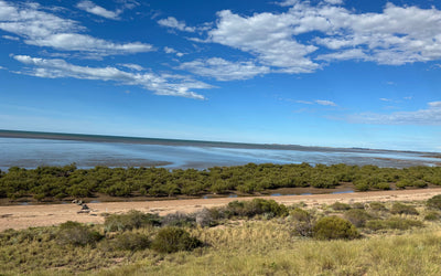 A KAS Krew Adventure: Crabbing and Exploring Karratha Back Beach