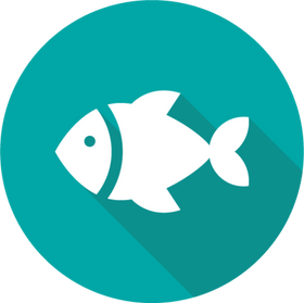 View our Fishing Guide