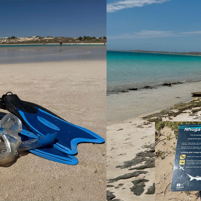 Coral Bay vs Great Barrier Reef: The Showdown Nobody Asked For (But You’re Getting Anyway)