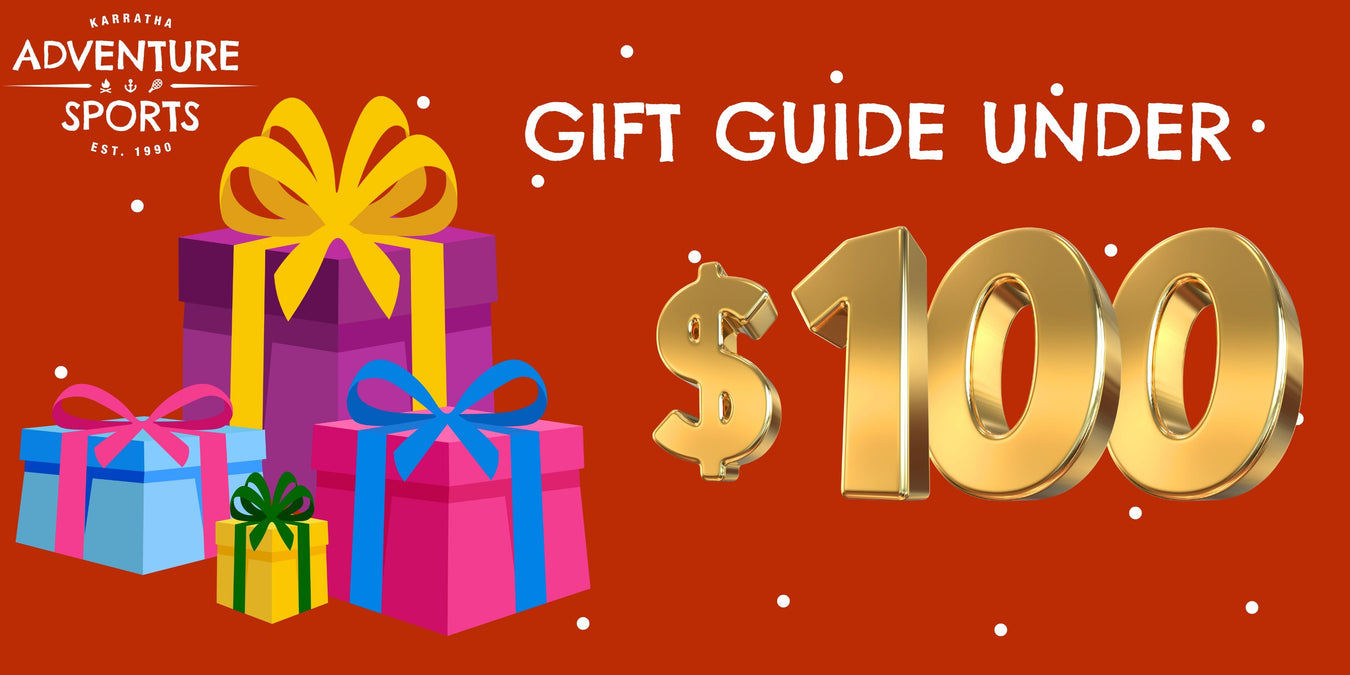 Gifts Under $100