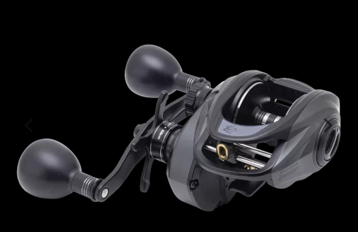 ABU GARCIA BEAST LOW PROFILE [SZ:200]