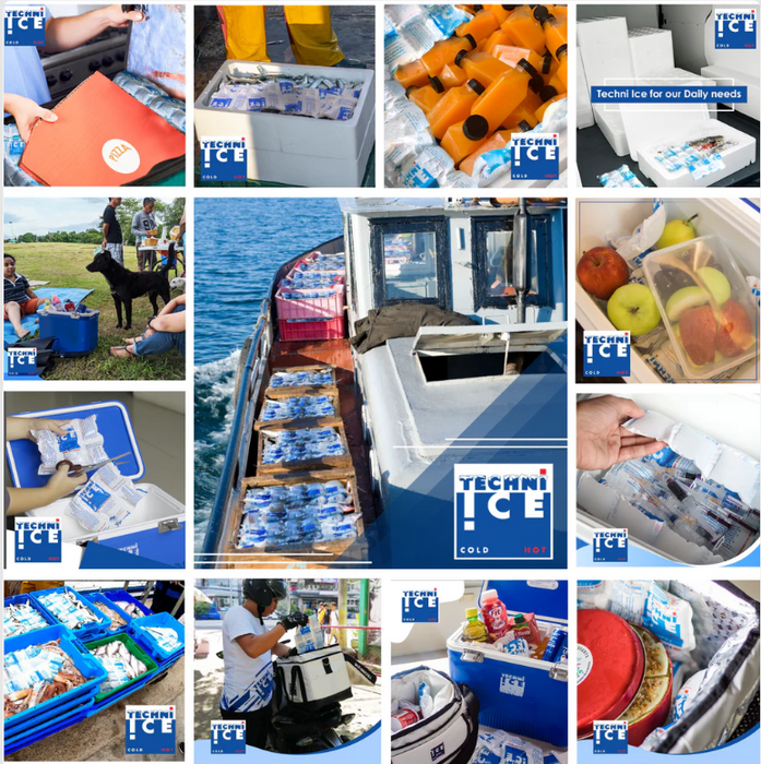 TECHNI ICE RE-USABLE DRY ICE PACK