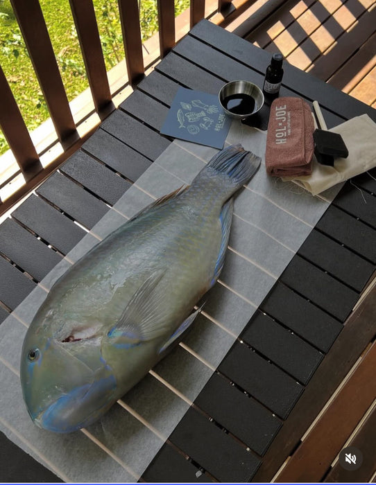 HOL & JOE'S FISH PRINTING KITS