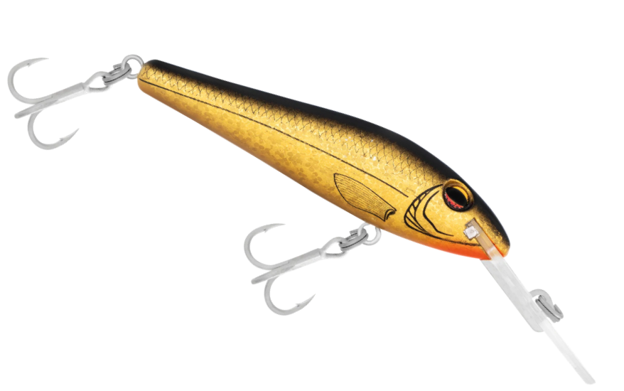 HALCO TBARRA 80 [CLR:GOLD HERRING]