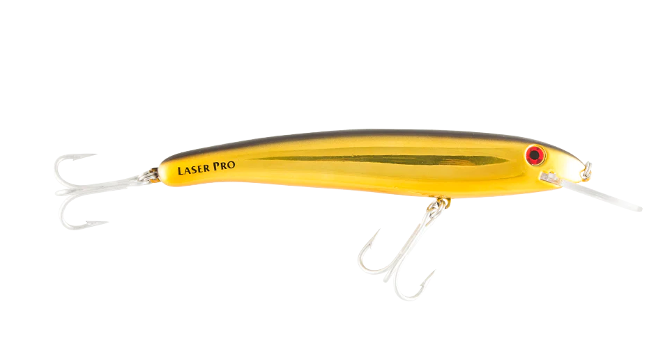 LASER PRO 190DD [CLR:CHROME GOLD BLACK BACK]