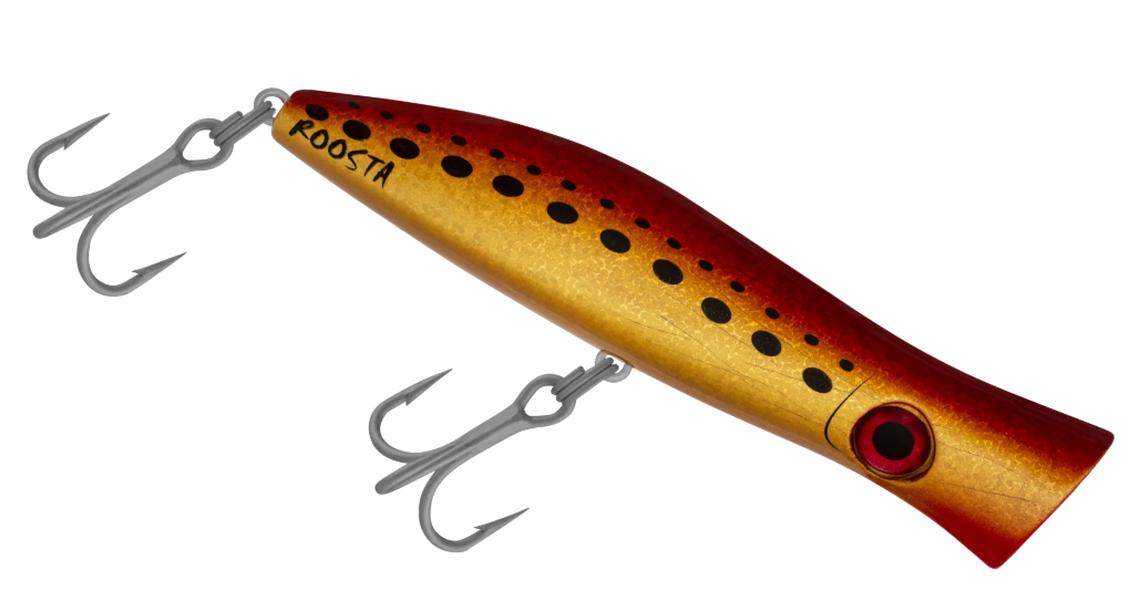 ROOSTA POPPER 135 [CLR:KING BROWN]