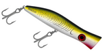 ROOSTA POPPER 135 [CLR:YELLOWFIN]