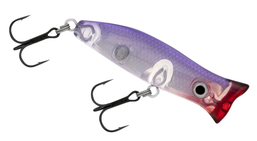 ROOSTA POPPER 60 [CLR:PURPLE HAZE]