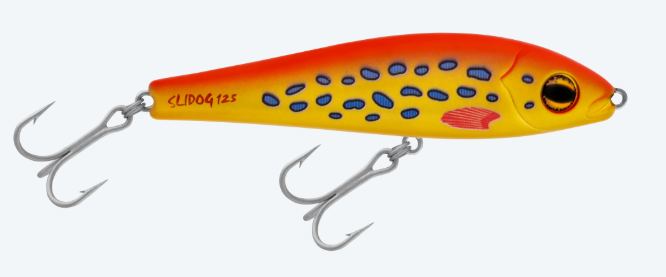 SLIDOG 125 [CLR:CORAL TROUT]