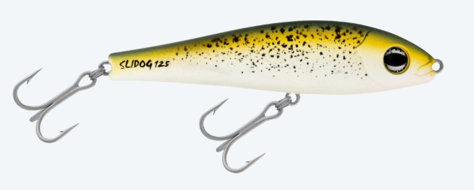 SLIDOG 125 [CLR:MUSTARD GRUNTER]