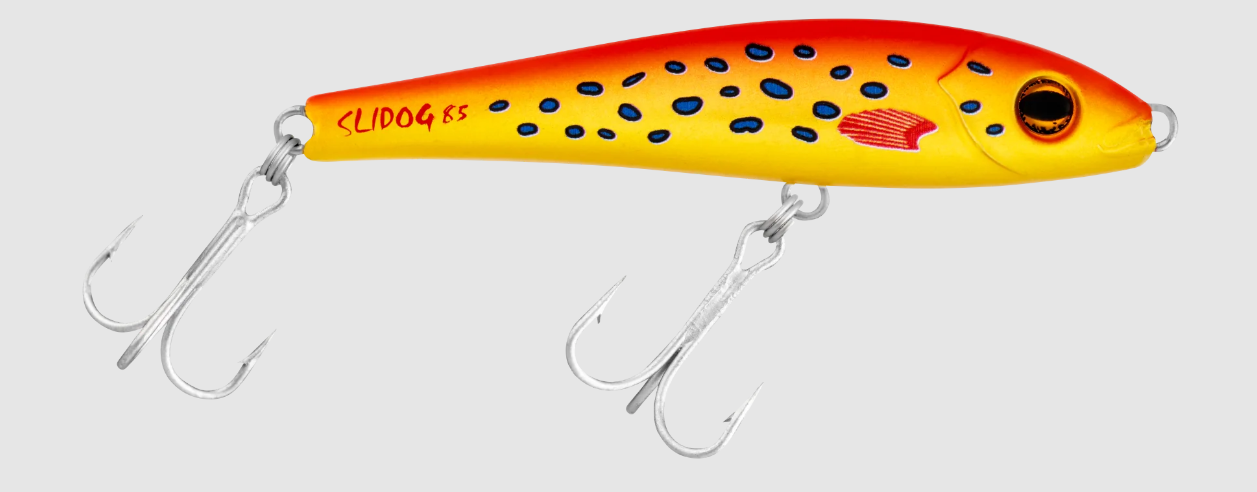SLIDOG 105 [CLR:CORAL TROUT]