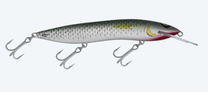 RMG SCORPION 150STD [CLR:MULLET]