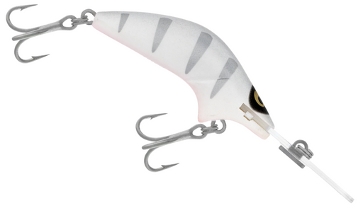 RMG POLTERGEIST 80 [CLR:SILVER SHADOW]