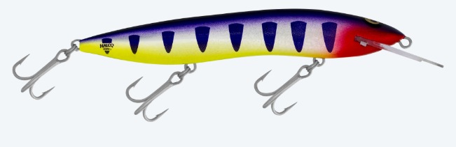 RMG SCORPION 150DD [CLR:DEEP PURPLE]