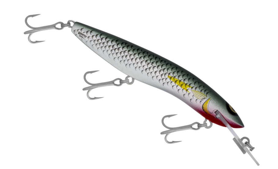 RMG SCORPION 125STD [CLR:MULLET]