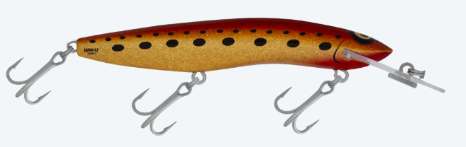 RMG SCORPION 125STD [CLR:KING BROWN]