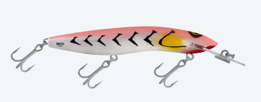 RMG SCORPION 125DD [CLR:PINK CADILLAC]