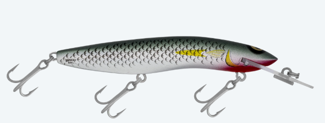 RMG SCORPION 125DD [CLR:MULLET]