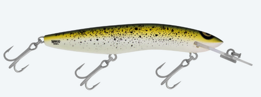 RMG SCORPION 125SR [CLR:MUSTARD GRUNTER]