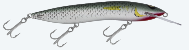 RMG SCORPION 150XDD [CLR:MULLET]