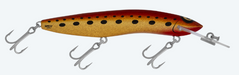 RMG SCORPION 125XDD [CLR:KING BROWN]