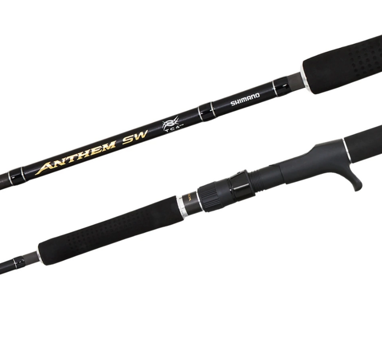 SHIMANO ANTHEM SW [SZ:5'2 JIG SPIN PE5]