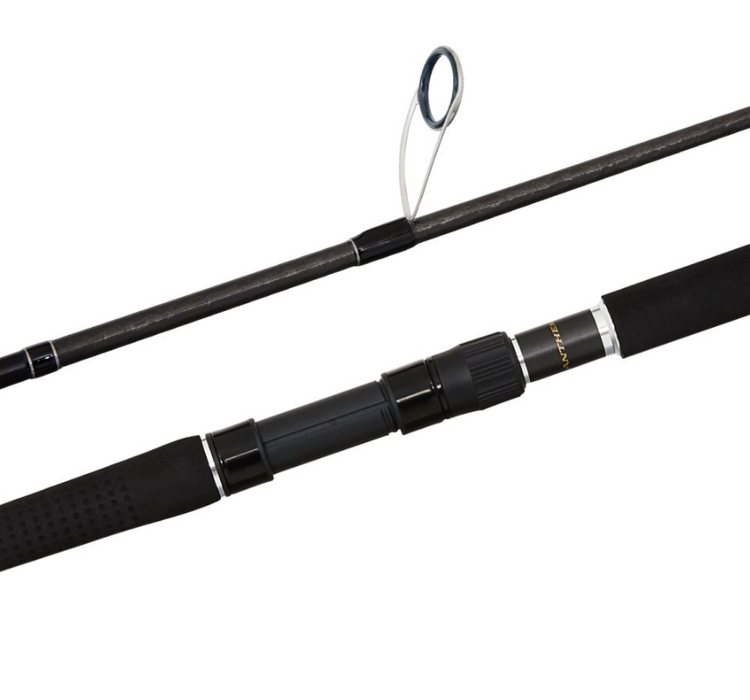 SHIMANO ANTHEM SW [SZ:5'2 JIG SPIN PE5]