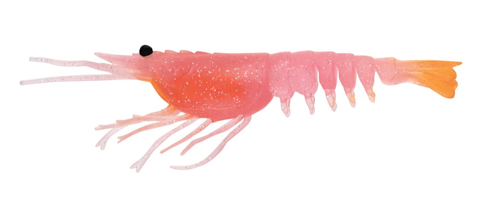 SWITCHER SHRIMP 2.3 [CLR:PSWAG - PINK SWAGGER]