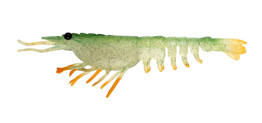 SWITCHER SHRIMP 2.3 [CLR:GGST -GREEN GHOST STALKER]