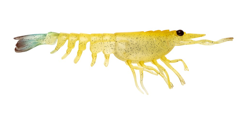 SWITCHER SHRIMP 5 [CLR:FBANA -  FRIED BANANA]